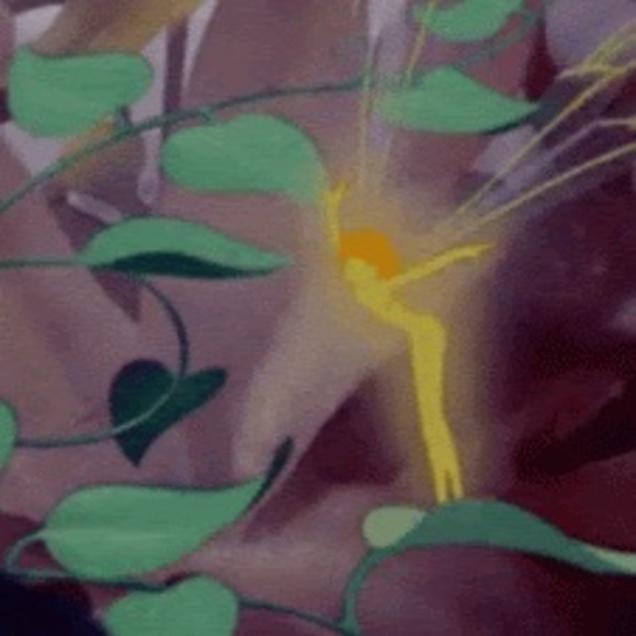 Meet your Posher, Adriana - Picture 1 of 1